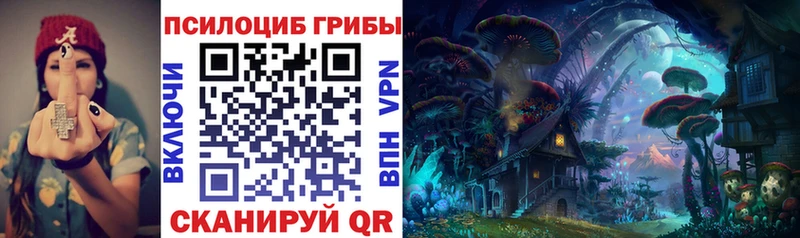 Галлюциногенные грибы Psilocybine cubensis  купить закладку  гидра маркетплейс  Ильский 